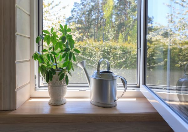 Garden Window Repair in Cedar Falls